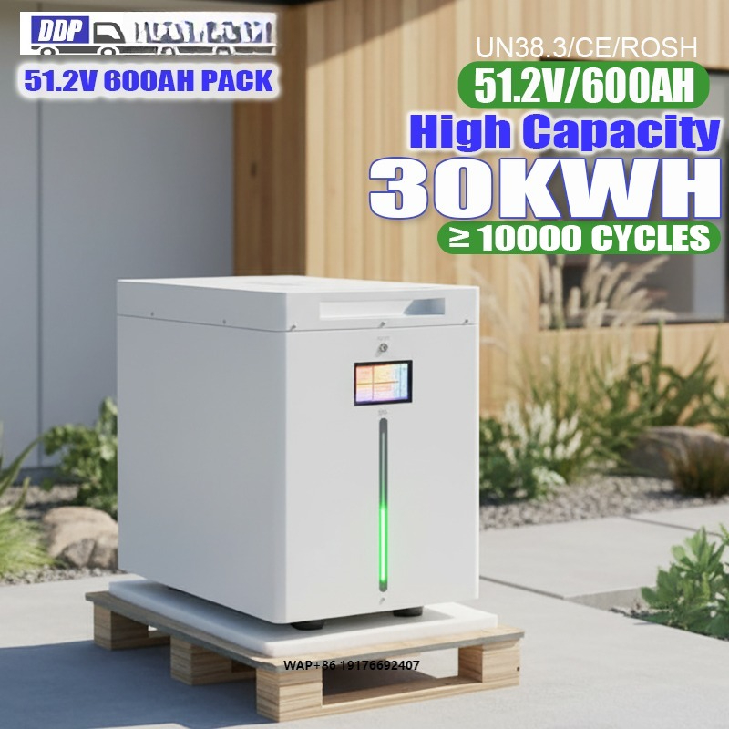 2026 Trending Product 51.2V 60 - Lifepo4 Battery Pack review and price